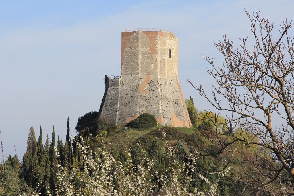 카스틸리오니도르시아 La Terrazza Sulla Val D'Orcia 아파트 외부 사진