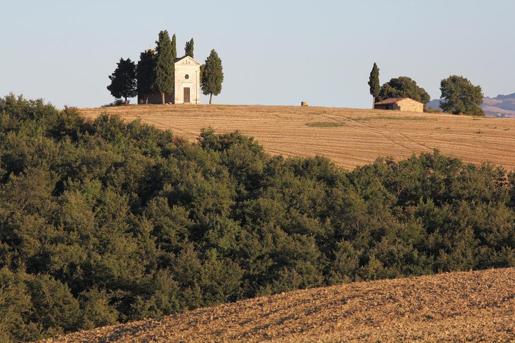 카스틸리오니도르시아 La Terrazza Sulla Val D'Orcia 아파트 외부 사진