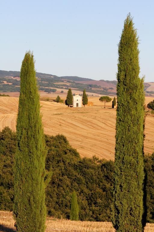 카스틸리오니도르시아 La Terrazza Sulla Val D'Orcia 아파트 외부 사진