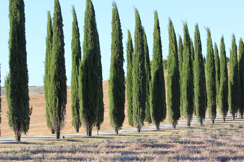 카스틸리오니도르시아 La Terrazza Sulla Val D'Orcia 아파트 외부 사진