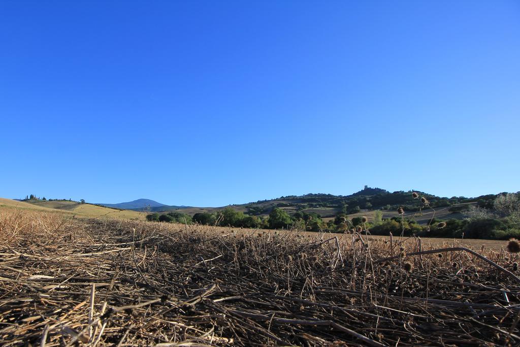 카스틸리오니도르시아 La Terrazza Sulla Val D'Orcia 아파트 외부 사진