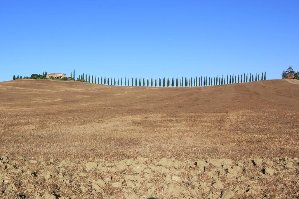 카스틸리오니도르시아 La Terrazza Sulla Val D'Orcia 아파트 외부 사진