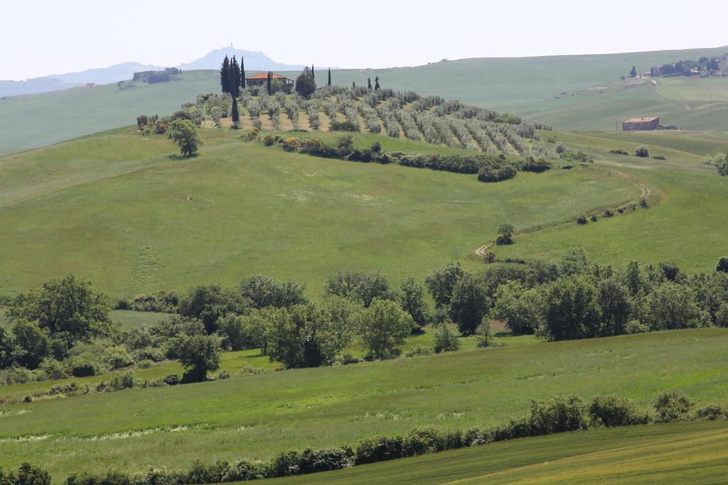 카스틸리오니도르시아 La Terrazza Sulla Val D'Orcia 아파트 외부 사진